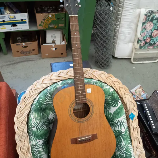 Sanick acoustic guitar
