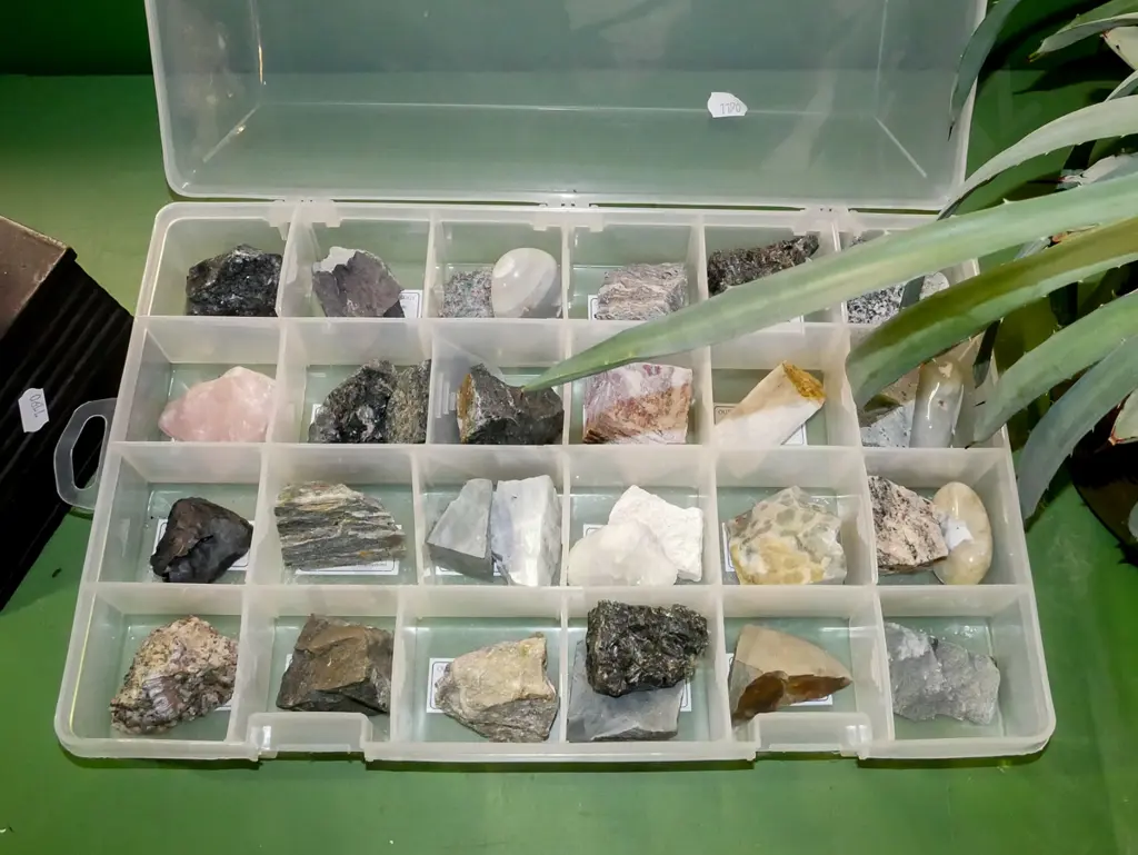 plastic organiser of various stone samples Image 1++