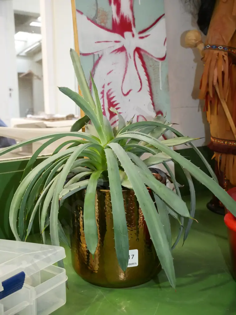 succulent in all over gold jardiniere Image 1++