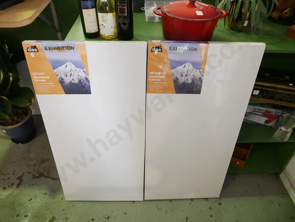 2x artists canvases 20" x 40" Image 1++