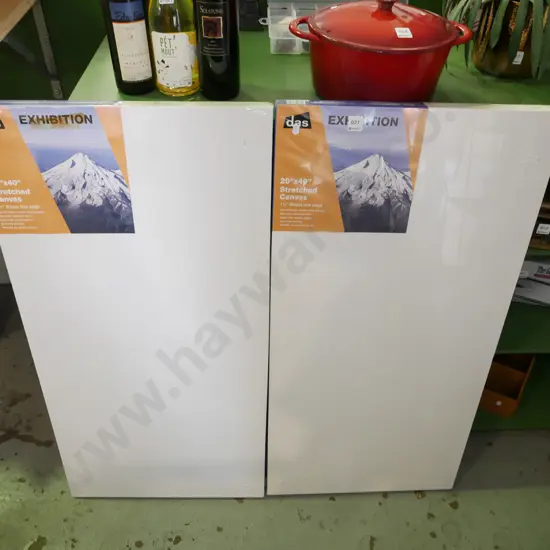 2x artists canvases 20" x 40"