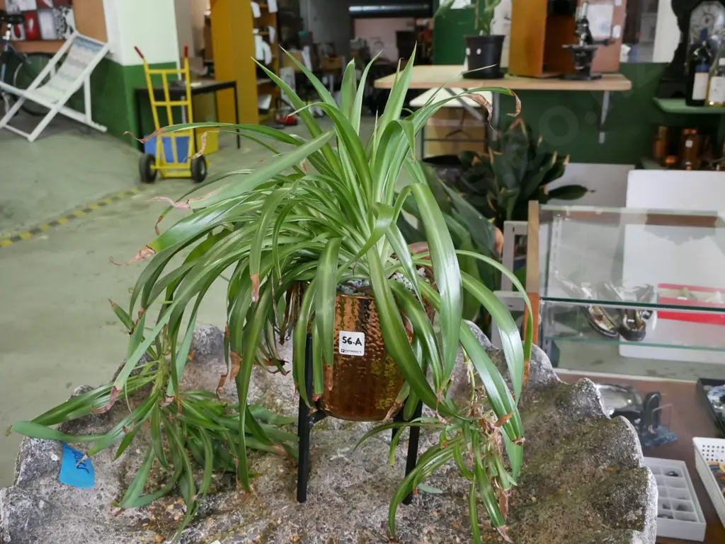 all over gold planter on wooden metal stand with plant Image 1++