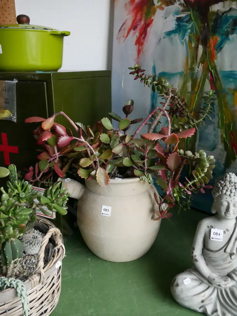 studio pottery planter and succulents Image 1++
