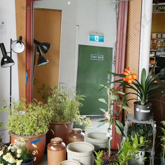 very large wood framed mirror H-2000 W-1350