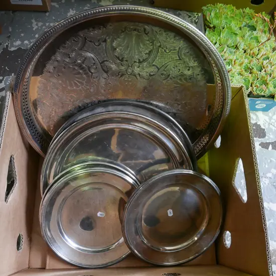 box of plated ware trays