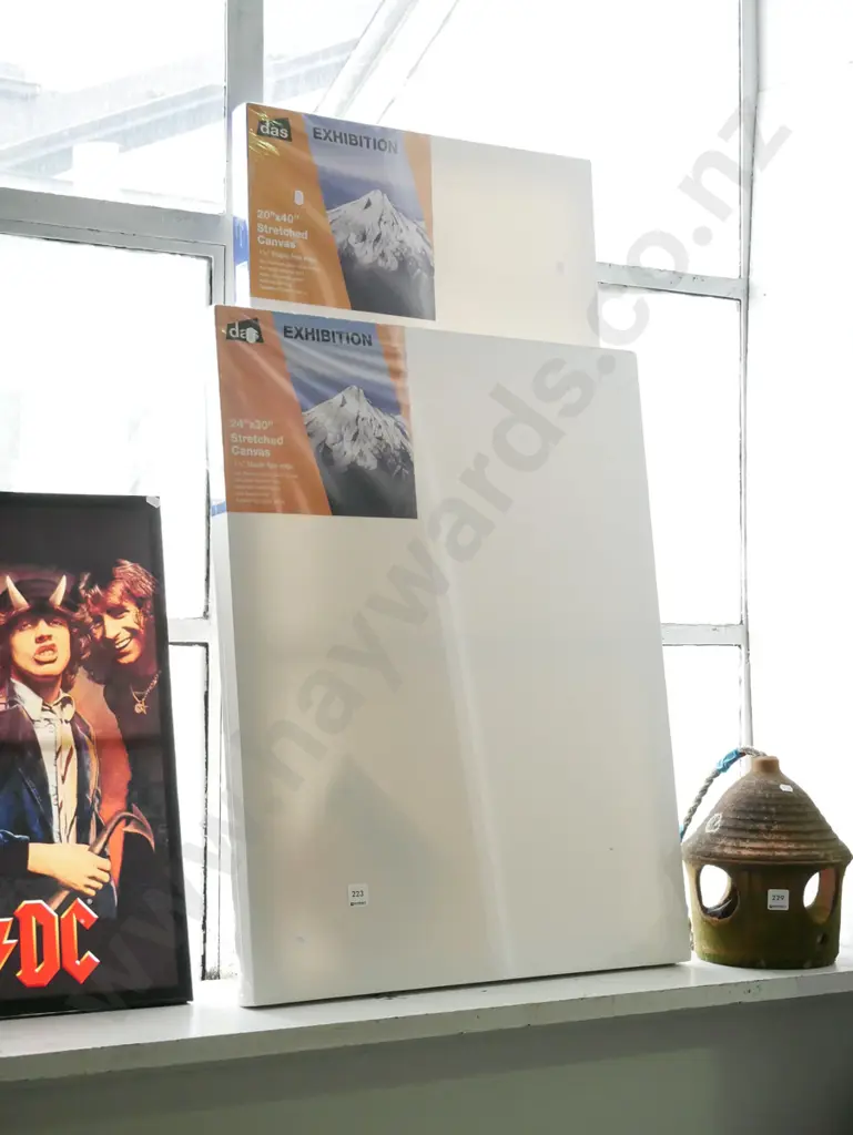 20"x40" and 24x30" artists canvases Image 1++