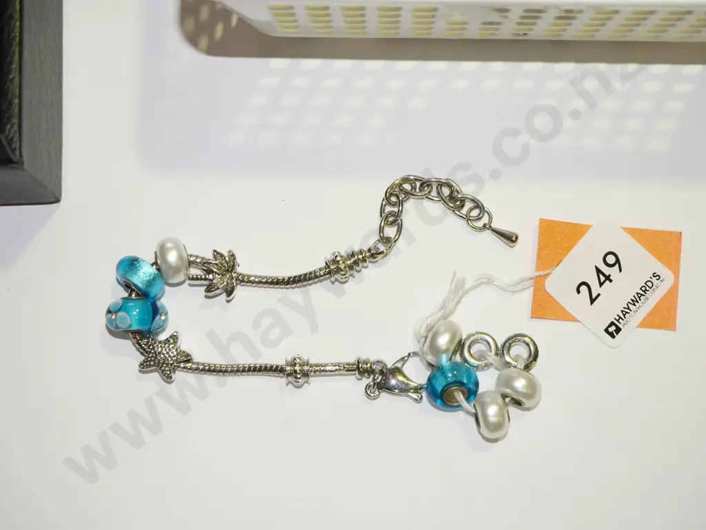 charm bracelet and charms Image 1++