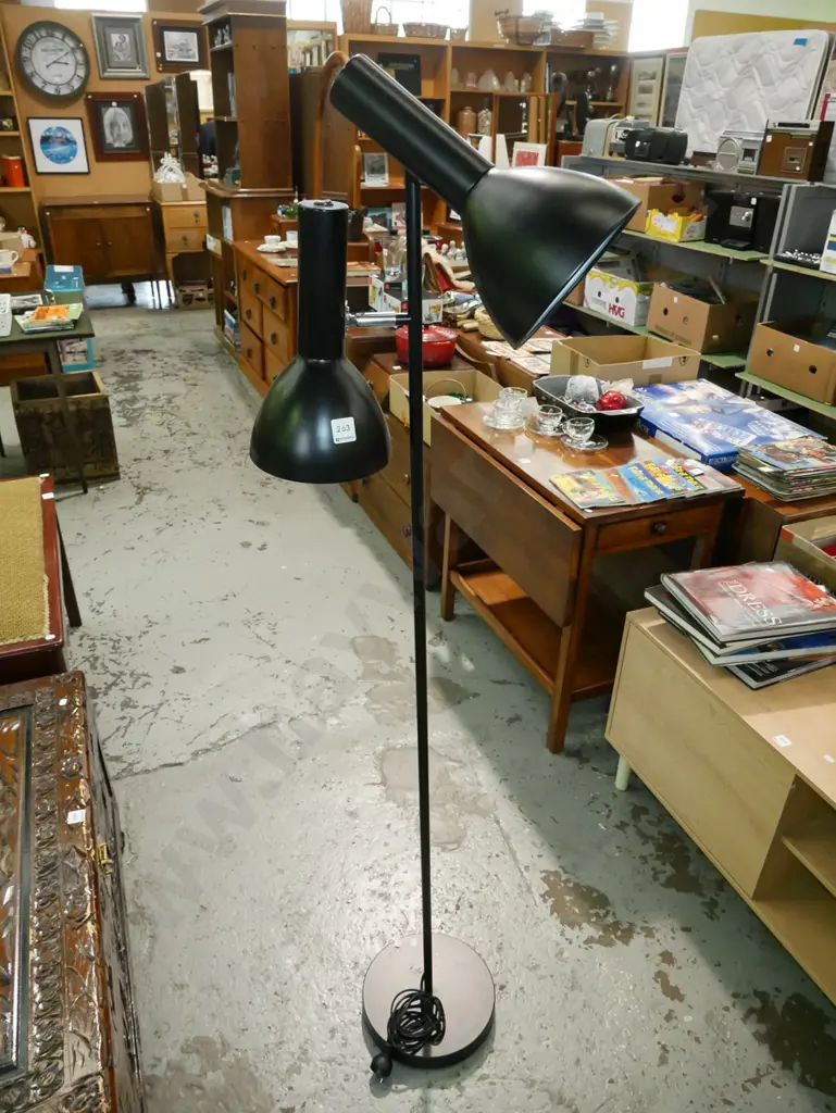 twin bulb standard lamp Image 1++