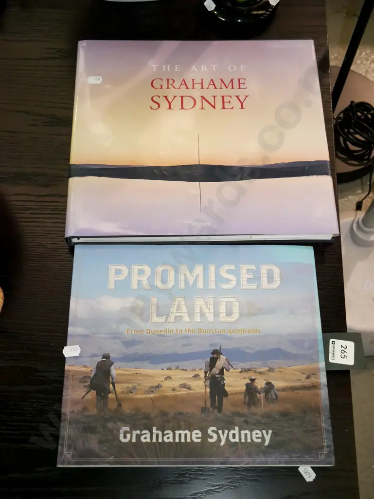 2x Grahame Sydney art books Image 1++