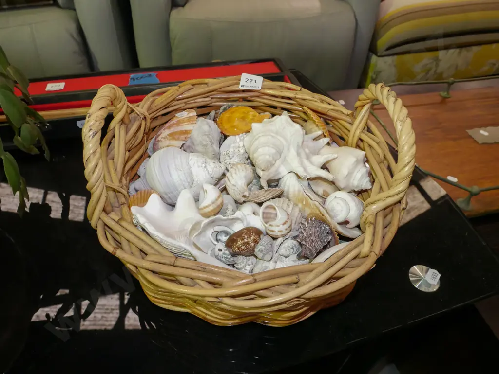 cane basket and seashells Image 1++