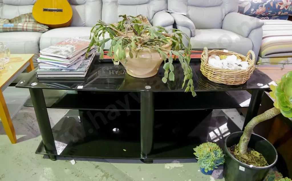 smoked glass entertainment unit Image 1++