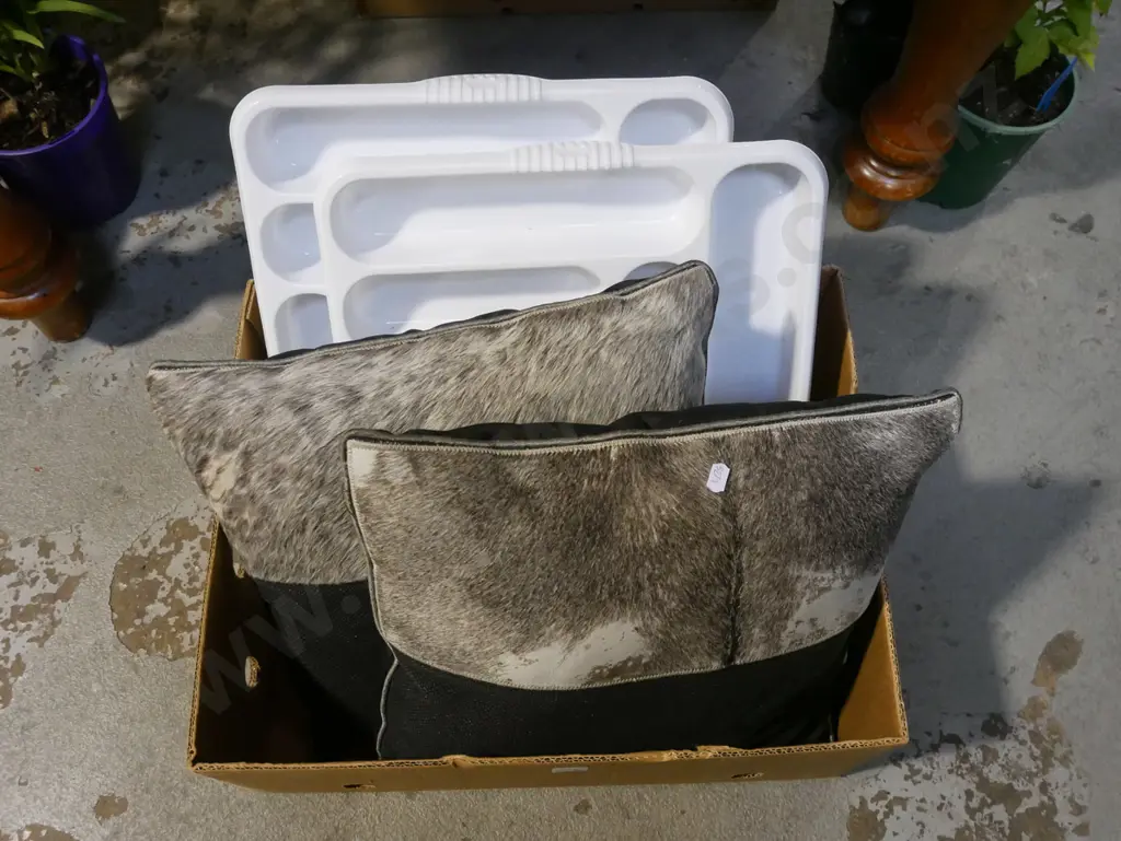 box; 2 cushions, 2 plastic cutlery trays Image 1++