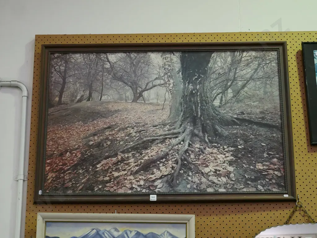 framed photo print - trees and leaves Image 1++