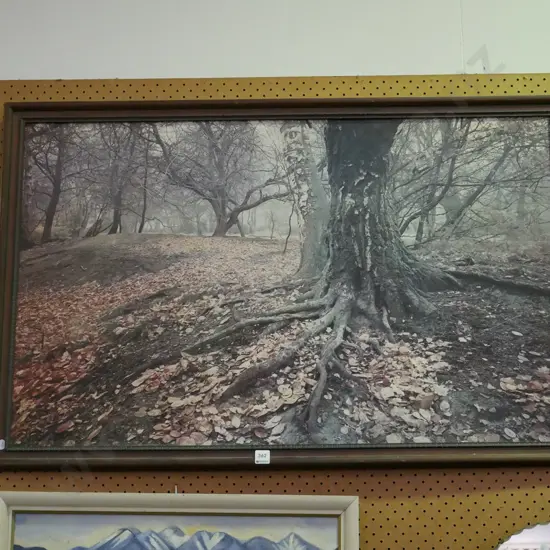 framed photo print - trees and leaves