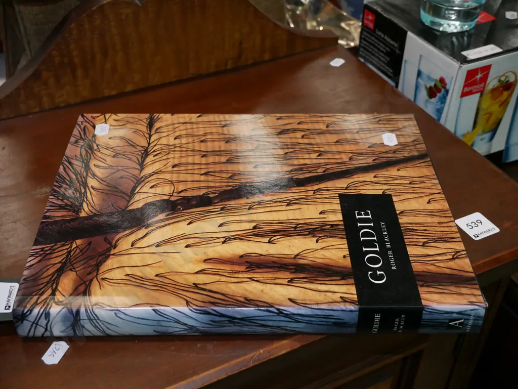 Goldie art book Image 1++