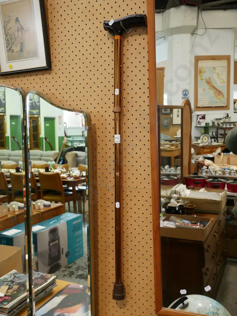 walking stick Image 1++