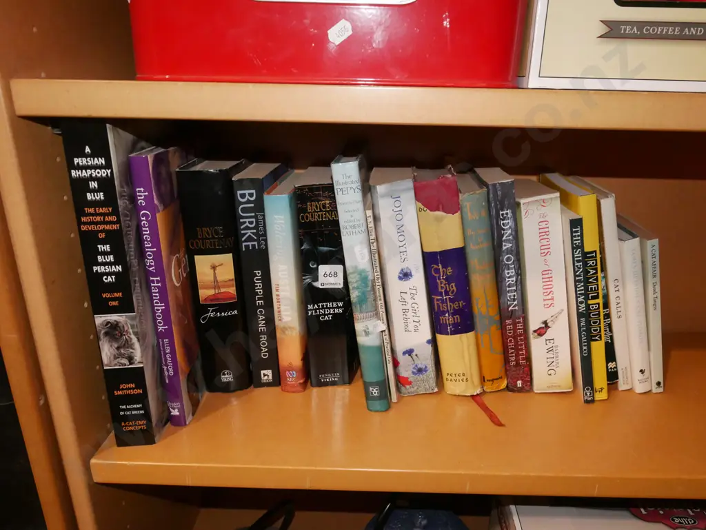 various books Image 1++