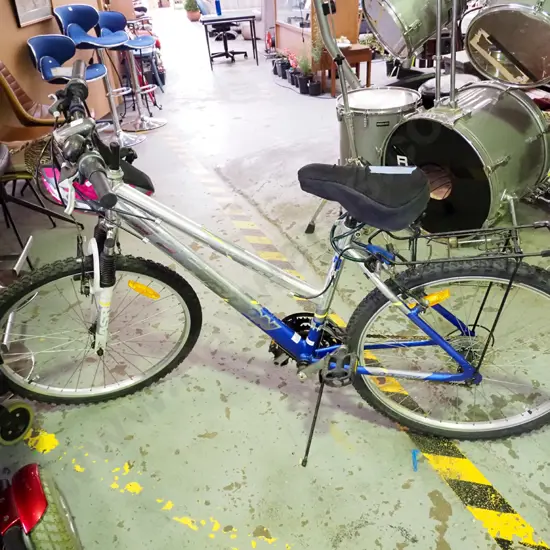 Triton 2 G mountain bike - carrier, helmet, gloves