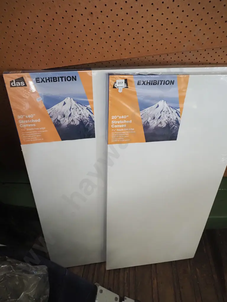 20x40" artist's canvases x2 Image 1++