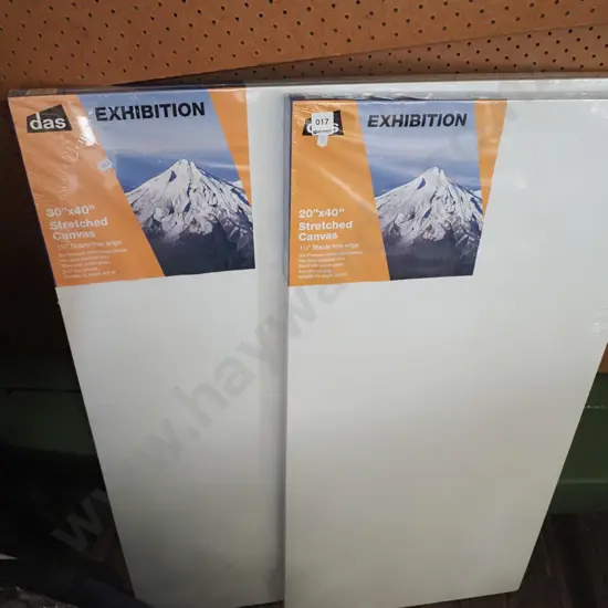 20x40" artist's canvases x2