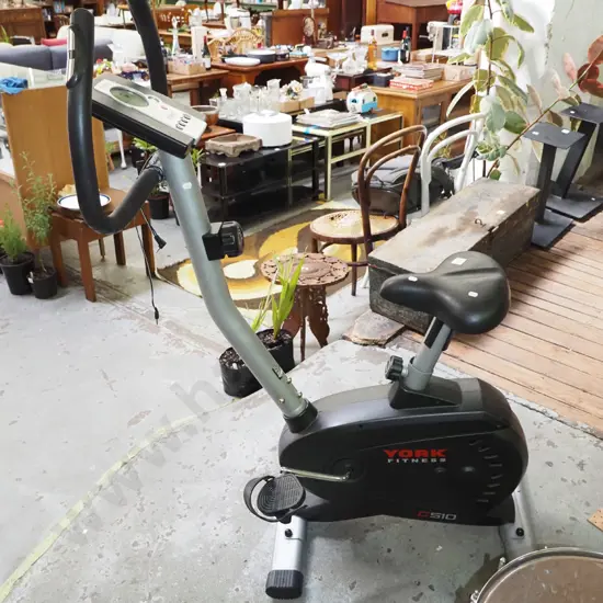 York Fitness exercycle