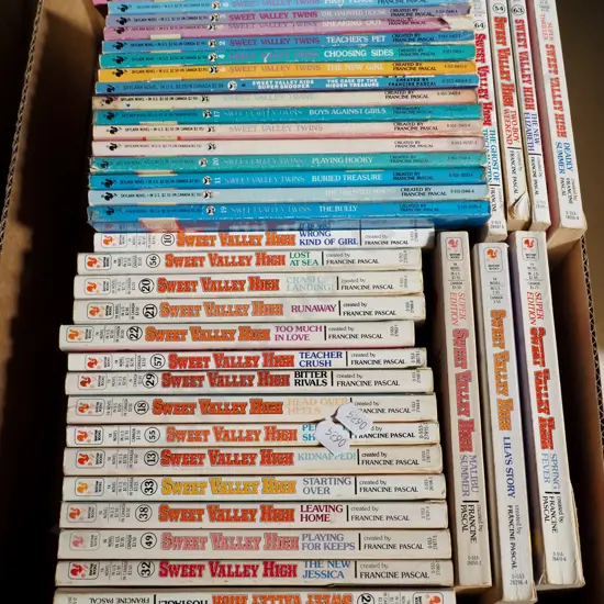 box of Sweet Valley High books