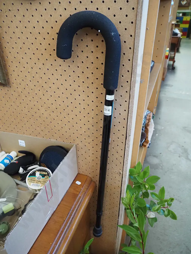 walking stick Image 1++