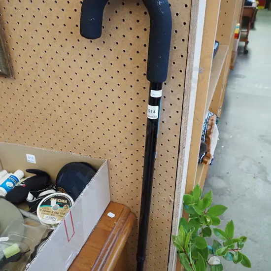 walking stick