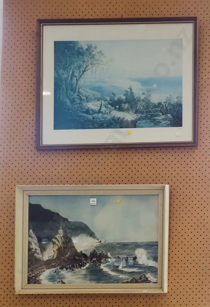 framed historic print  - Sandfly Bay Otago , framed pastel - coastal scene - yellow dots Image 1++