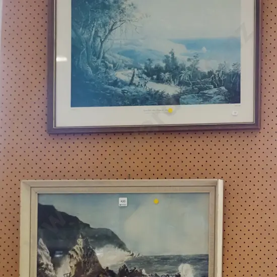 framed historic print  - Sandfly Bay Otago , framed pastel - coastal scene - yellow dots