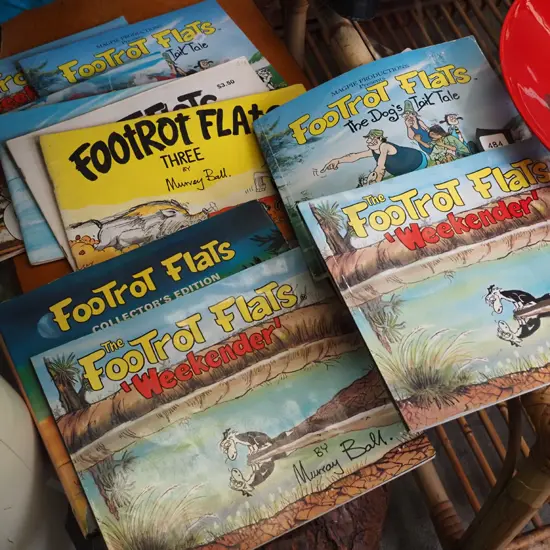 Footrot Flats books