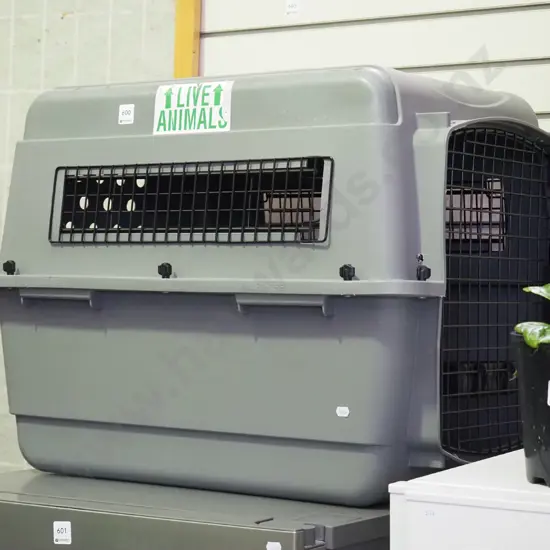 plastic pet carrier