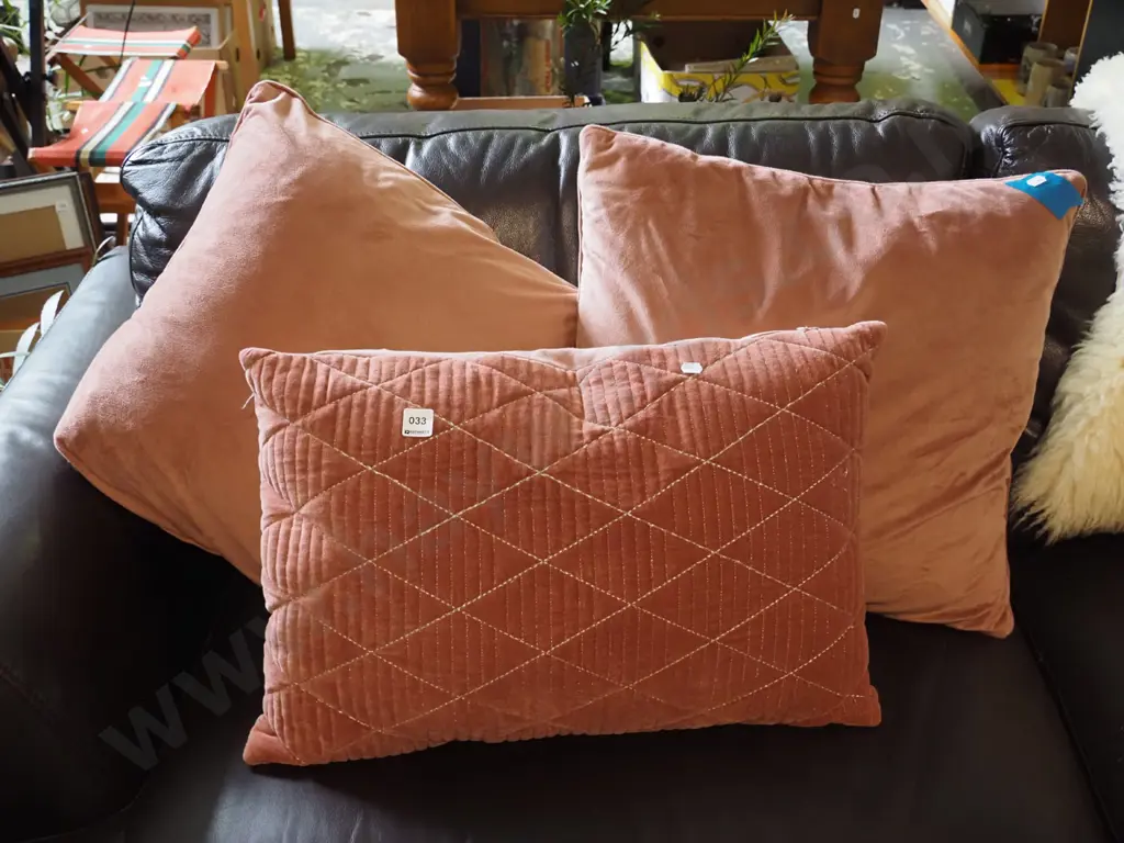 3x cushions Image 1++