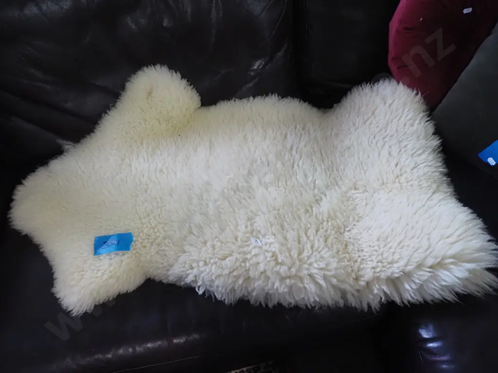 sheepskin Image 1++