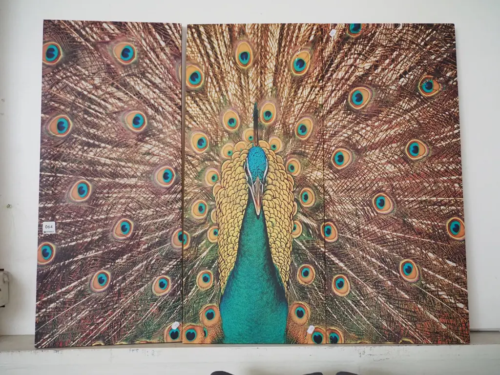 peacock triptych print on boxed canvases Image 1++