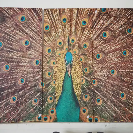 peacock triptych print on boxed canvases
