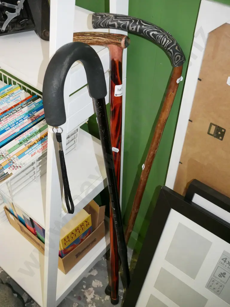 3x walking sticks Image 1++