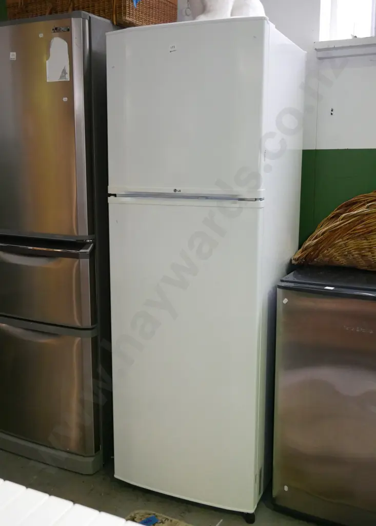 LG fridge/freezer H-1610 W-530 D-590 Image 1++