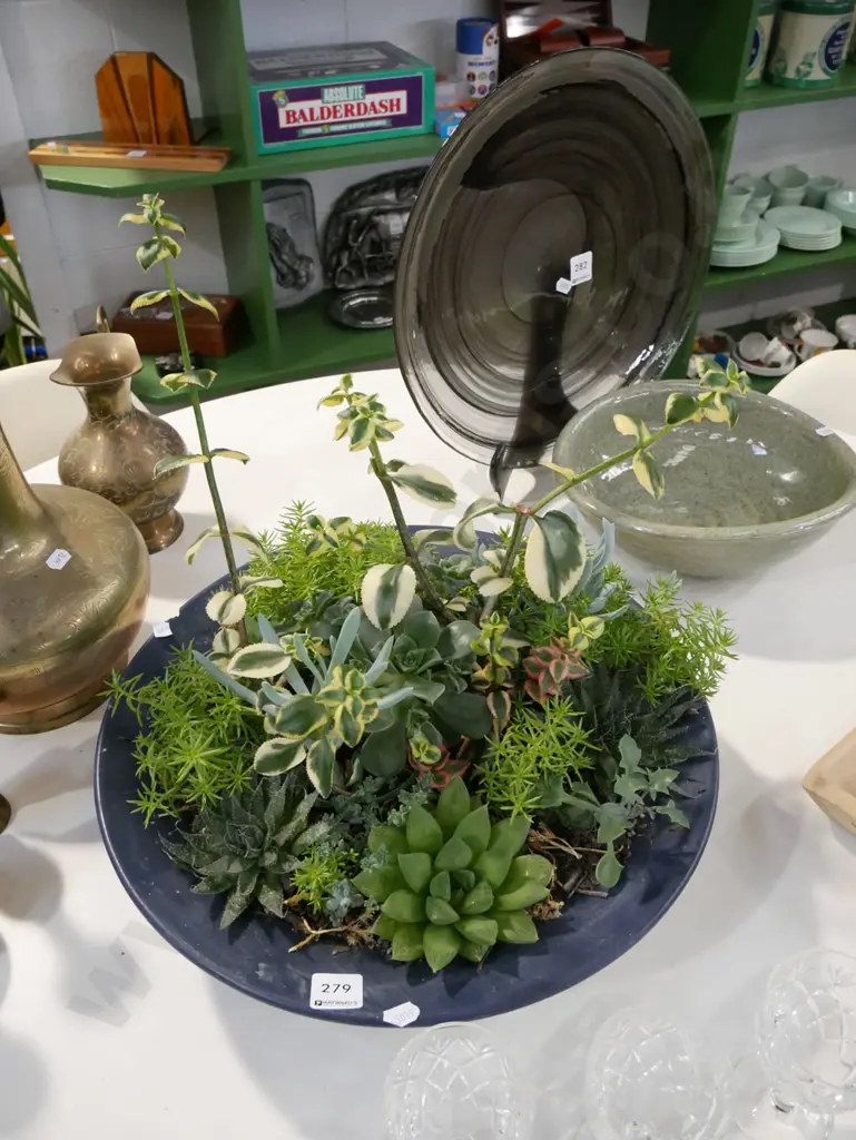 assorted succulents in large bowl - has chip Image 1++