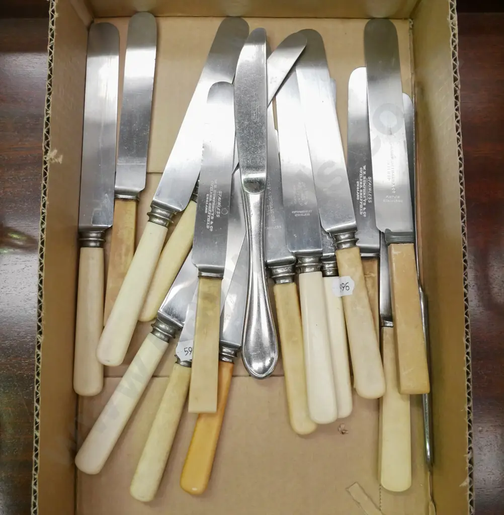 box of vintage bone handled knives Image 1++