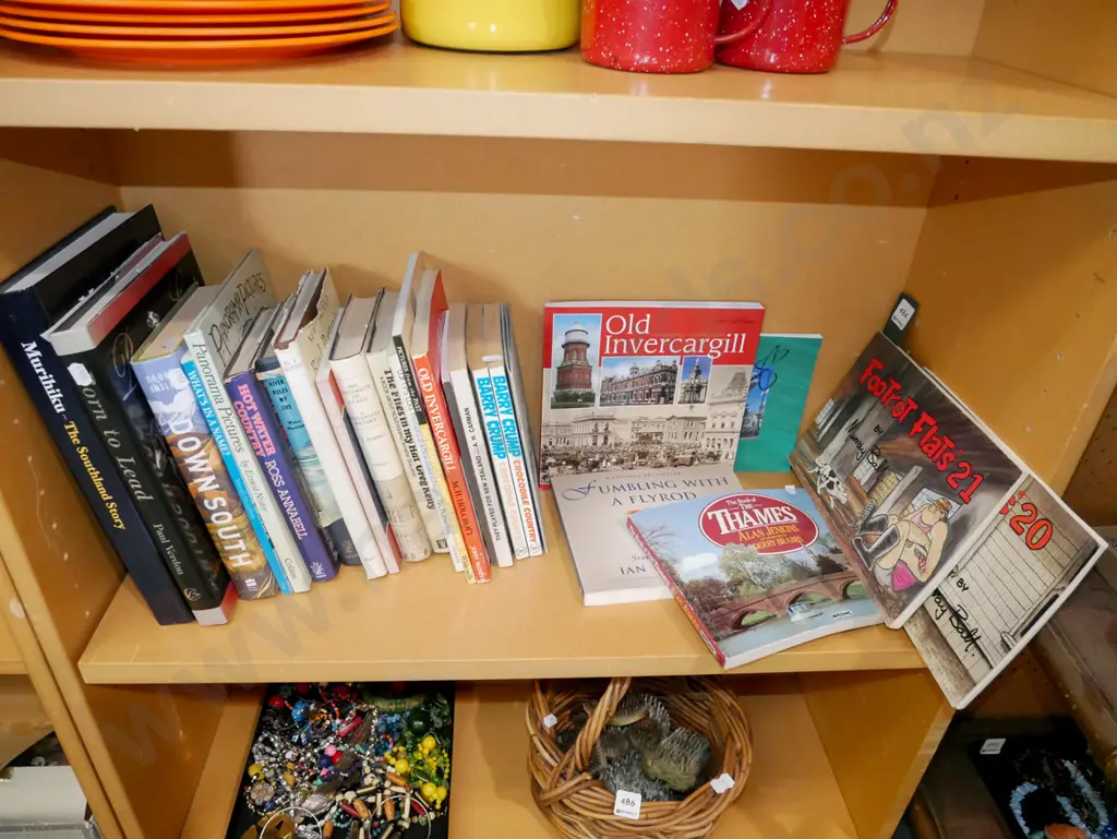 shelf of NZ books Image 1++