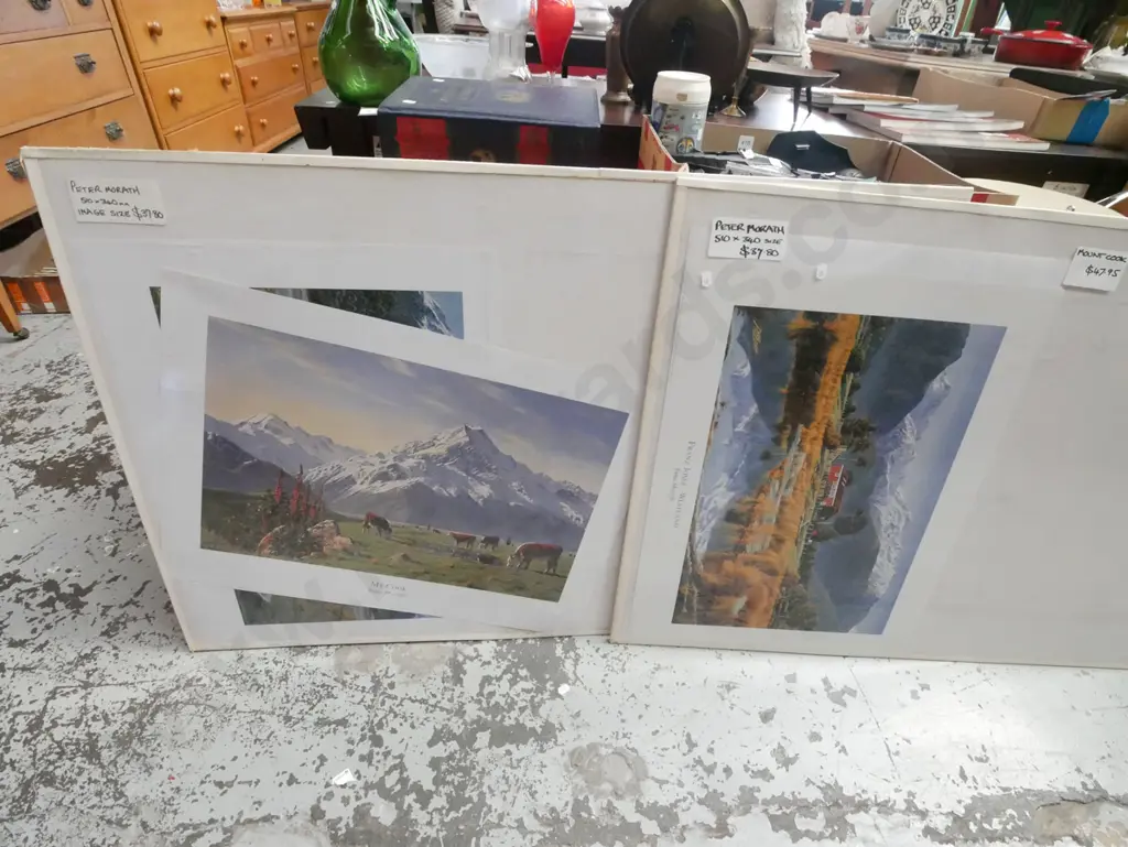 assorted Peter Morath scenic NZ prints in 2 display panels Image 1++