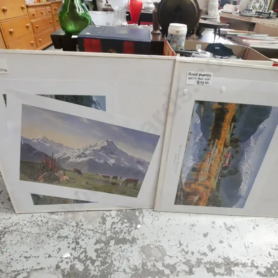 assorted Peter Morath scenic NZ prints in 2 display panels