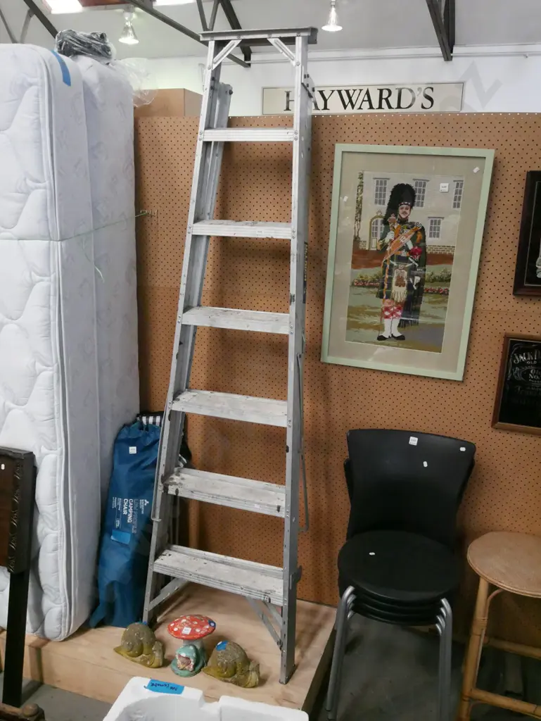 6 step aluminium ladder Image 1++