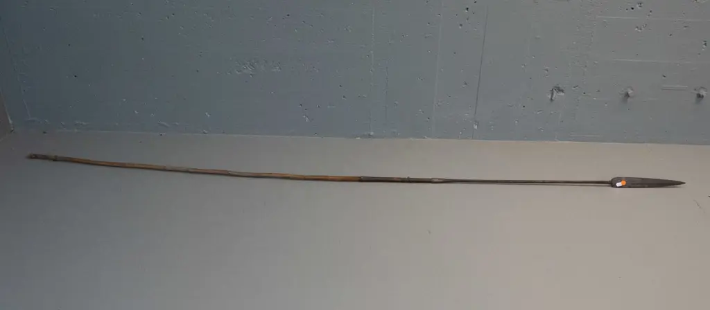 vintage spear with timber shaft and forged iron head, fine wire binding - slightly warped. L-2100 Image 1++