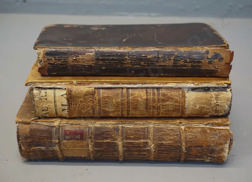 3 antique books - 1767 Works of Shakespeare Volume 1, 1769 facsimile edition of 1652 La Vera Antichita de Pozzuolo and Image 1++