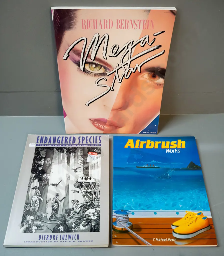 3 illustration / art books - Richard Bernstein (Interview Magazine) photo art, Dierdre Luzwick "Endangered Species" and Image 1++