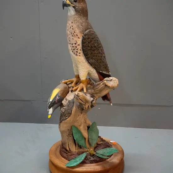 hand carved painted figure of red-tailed hawk with cedar waxwing with oak and composite base - carved by