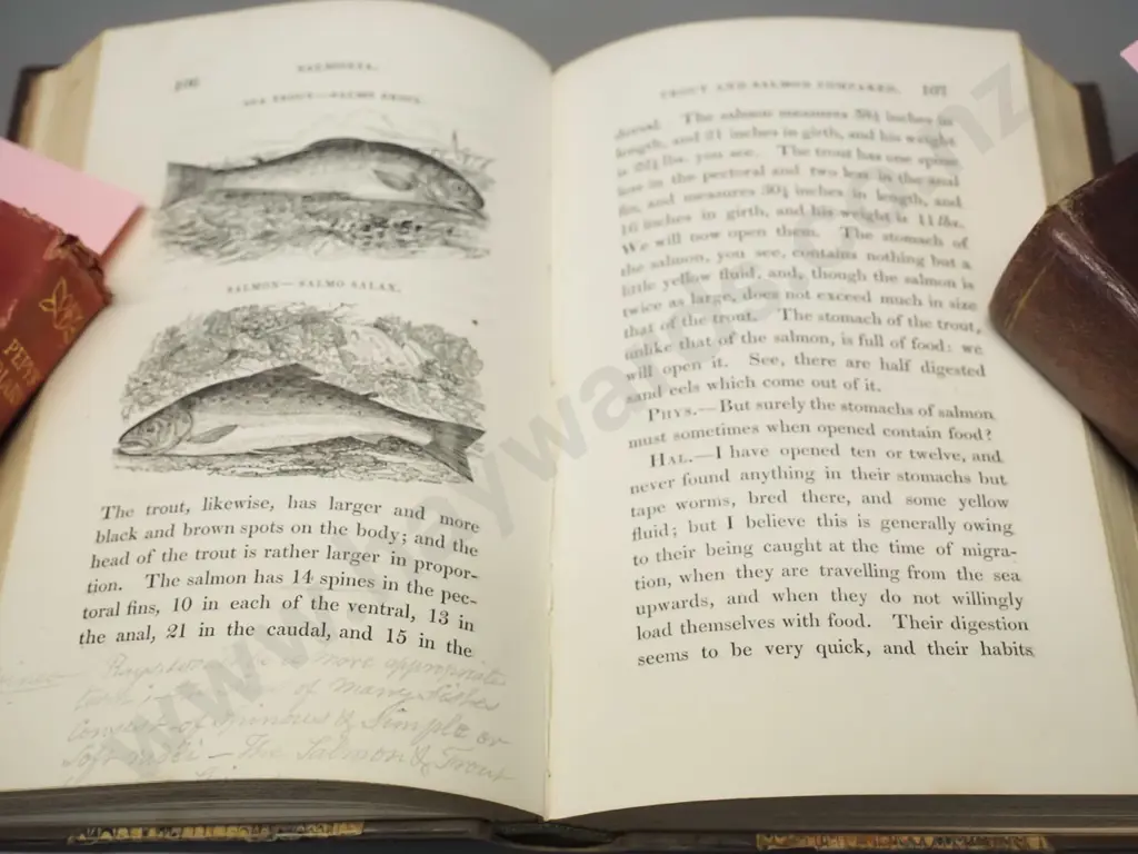 antique fishing book - 1828 Salmonia or Days of Fly Fishing By "An Angler" - some foxing or staining but otherwise good Image 1++