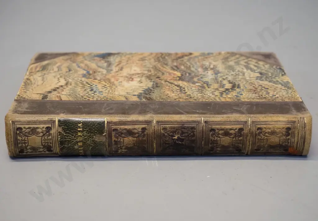 antique fishing book - 1828 Salmonia or Days of Fly Fishing By "An Angler" - some foxing or staining but otherwise good Image 1++